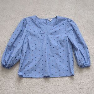 Daniel Cremieux Blue Blouse with Pattern